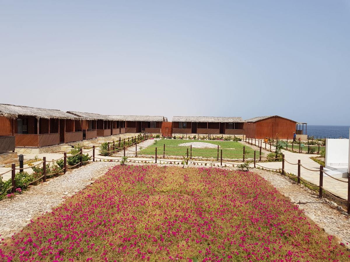 Turtle Beach Resort Ras al Hadd Exterior photo