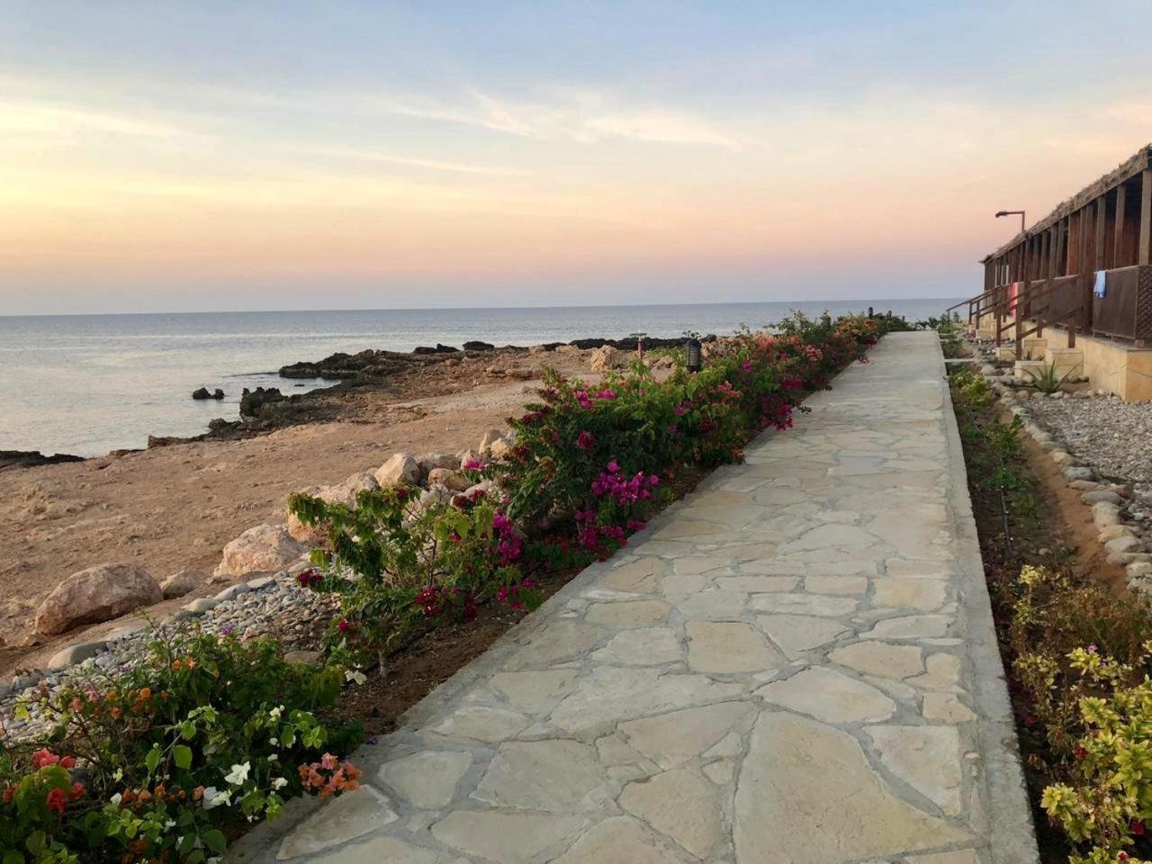 Turtle Beach Resort Ras al Hadd Exterior photo